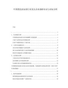 中國漂洗添加劑行業龍頭企業戰略布局與對標分析
