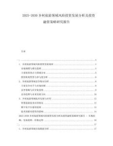 2025-2030鄉(xiāng)村旅游領(lǐng)域風(fēng)險(xiǎn)投資發(fā)展分析及投資融資策略研究報(bào)告