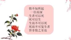 最新統編版高中語文必修二古詩詞誦讀《游園·皂羅袍》優質教學課件