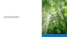安全樹新風(fēng)課件