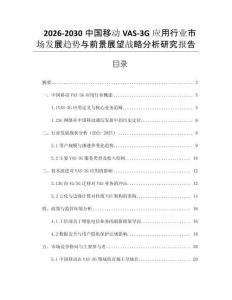 2026-2030中國(guó)移動(dòng)VAS-3G應(yīng)用行業(yè)市場(chǎng)發(fā)展趨勢(shì)與前景展望戰(zhàn)略分析研究報(bào)告