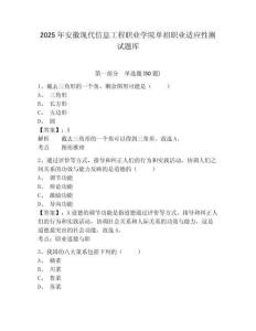 2025年安徽現(xiàn)代信息工程職業(yè)學院單招職業(yè)適應性測試題庫附答案詳解【奪分金卷】