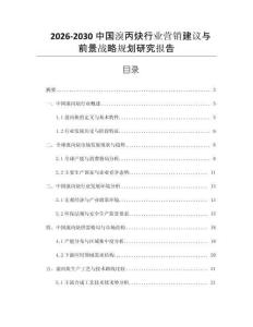 2026-2030中國(guó)溴丙炔行業(yè)營(yíng)銷建議與前景戰(zhàn)略規(guī)劃研究報(bào)告