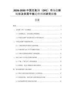 2026-2030中國無氧銅（OFC）市場創(chuàng)新現(xiàn)狀及供需平衡趨勢預(yù)測研究報(bào)告