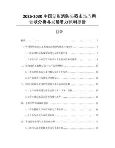 2026-2030中國(guó)結(jié)構(gòu)消防頭盔市場(chǎng)應(yīng)用領(lǐng)域分析與發(fā)展?jié)摿︻A(yù)判報(bào)告