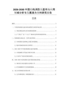 2026-2030中國(guó)結(jié)構(gòu)消防頭盔市場(chǎng)應(yīng)用領(lǐng)域分析與發(fā)展?jié)摿︻A(yù)判研究報(bào)告