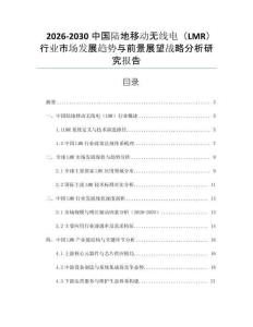 2026-2030中國陸地移動無線電（LMR）行業市場發展趨勢與前景展望戰略分析研究報告