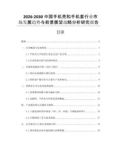 2026-2030中国手机壳和手机套行业市场发展趋势与前景展望战略分析研究报告