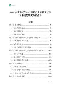 2026年便攜式氣動打磨機(jī)行業(yè)發(fā)展現(xiàn)狀及未來趨勢研究分析報告_20250706_011622