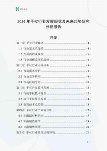 2026年手杖行業(yè)發(fā)展現(xiàn)狀及未來趨勢研究分析報(bào)告_20250706_111742