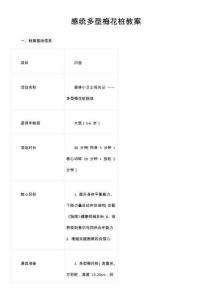 感統(tǒng)多型梅花樁教案