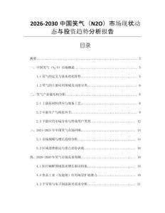 2026-2030中國(guó)笑氣（N2O）市場(chǎng)現(xiàn)狀動(dòng)態(tài)與投資趨勢(shì)分析報(bào)告