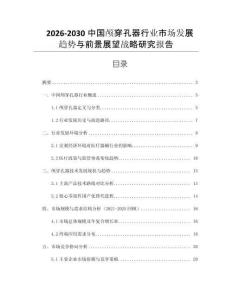 2026-2030中國顱穿孔器行業市場發展趨勢與前景展望戰略研究報告