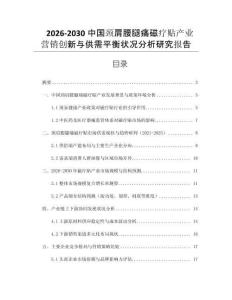 2026-2030中國頸肩腰腿痛磁療貼產業營銷創新與供需平衡狀況分析研究報告