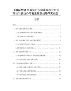 2026-2030中國實(shí)時傳輸流分析儀行業(yè)市場發(fā)展趨勢與前景展望戰(zhàn)略研究報告