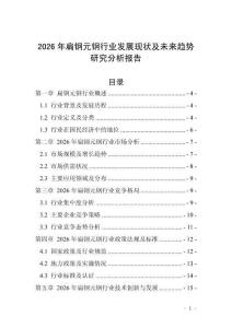 2026年扁鋼元鋼行業(yè)發(fā)展現(xiàn)狀及未來趨勢研究分析報告