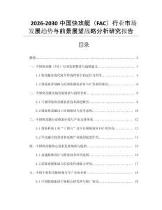 2026-2030中國快攻艇（FAC）行業(yè)市場發(fā)展趨勢與前景展望戰(zhàn)略分析研究報告