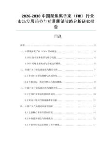 2026-2030中國聚焦離子束（FIB）行業市場發展趨勢與前景展望戰略分析研究報告