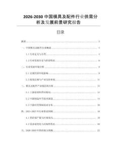 2026-2030中國模具及配件行業(yè)供需分析及發(fā)展前景研究報告