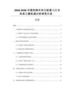 2026-2030中國利肺片市場前景風險與未來發展機遇分析研究報告