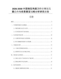 2026-2030中國微型角膜刀行業市場發展趨勢與前景展望戰略分析研究報告