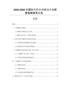 2026-2030中國酮類行業(yè)現(xiàn)狀調(diào)查與前景策略研究報告