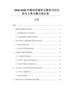 2026-2030中國泡花堿市場需求預(yù)測分析與競爭戰(zhàn)略規(guī)劃報告