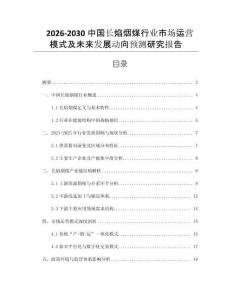 2026-2030中國長焰煙煤行業市場運營模式及未來發展動向預測研究報告