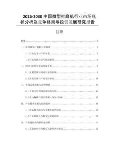 2026-2030中國微型打磨機(jī)行業(yè)市場現(xiàn)狀分析及競爭格局與投資發(fā)展研究報告