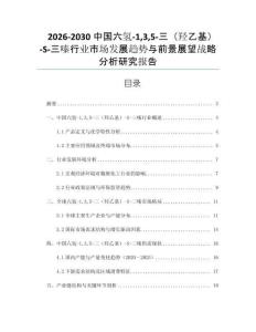 2026-2030中國六氫-135-三（羥乙基）-S-三嗪行業市場發展趨勢與前景展望戰略分析研究報告