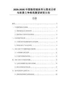 2026-2030中國數控插床市場需求分析與前景競爭格局展望研究報告
