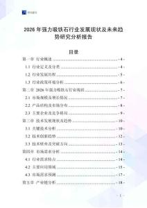 2026年強(qiáng)力吸鐵石行業(yè)發(fā)展現(xiàn)狀及未來(lái)趨勢(shì)研究分析報(bào)告