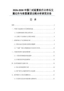 2026-2030中國門式起重機行業市場發展趨勢與前景展望戰略分析研究報告