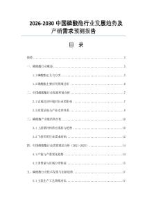 2026-2030中國磷酸酯行業發展趨勢及產銷需求預測報告