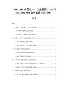 2026-2030中國(guó)叔十二烷基硫醇(TDM)行業(yè)應(yīng)用潛力與盈利前景預(yù)測(cè)報(bào)告