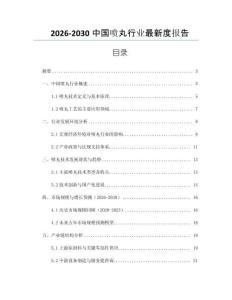 2026-2030中國噴丸行業最新度報告