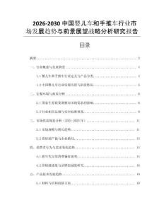 2026-2030中國嬰兒車和手推車行業市場發展趨勢與前景展望戰略分析研究報告