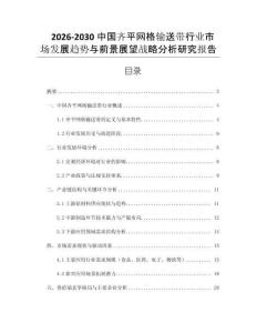 2026-2030中國齊平網(wǎng)格輸送帶行業(yè)市場發(fā)展趨勢與前景展望戰(zhàn)略分析研究報告
