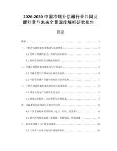 2026-2030中國冷端補償器行業(yè)共同發(fā)展前景與未來全景深度解析研究報告