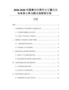 2026-2030中國(guó)黃銅彈殼行業(yè)發(fā)展趨勢(shì)與未來(lái)競(jìng)爭(zhēng)戰(zhàn)略規(guī)劃研究報(bào)告