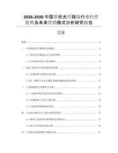 2026-2030中國帶狀光纖跳線行業經營優勢及未來營銷模式分析研究報告