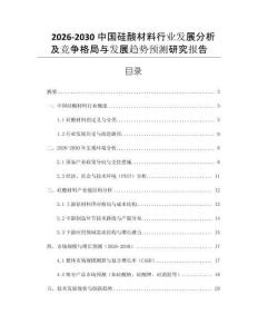 2026-2030中國硅酸材料行業發展分析及競爭格局與發展趨勢預測研究報告