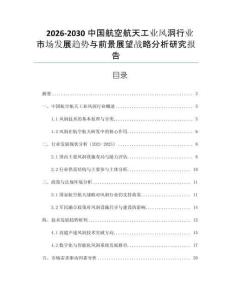 2026-2030中國航空航天工業(yè)風洞行業(yè)市場發(fā)展趨勢與前景展望戰(zhàn)略分析研究報告