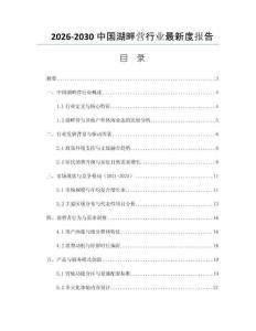 2026-2030中國湖畔營行業(yè)最新度報告