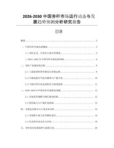 2026-2030中國夯桿市場運行動態與發展趨勢預測分析研究報告