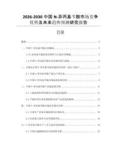 2026-2030中國N-異丙基芐胺市場競爭優勢及未來趨勢預測研究報告