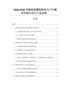 2026-2030中國低音曼陀林市場營銷模式與投資價值評估分析