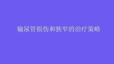 输尿管损伤和狭窄的治疗策略2025