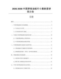 2026-2030中國穿梭油船行業最新度研究報告