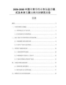 2026-2030中國(guó)單背帶行業(yè)市場(chǎng)運(yùn)營(yíng)模式及未來(lái)發(fā)展動(dòng)向預(yù)測(cè)研究報(bào)告